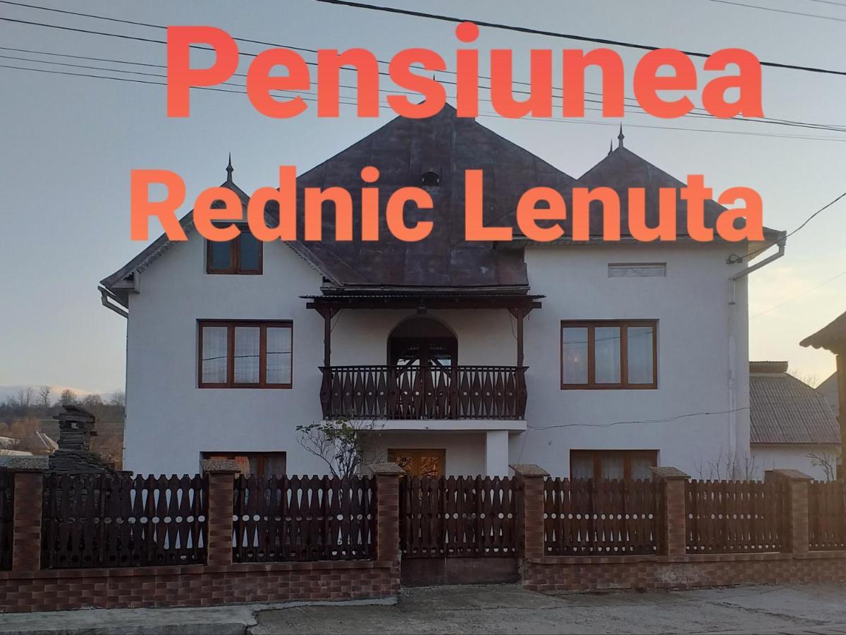 Pensiunea Rednic Lenuta Giulesti Zewnętrze zdjęcie